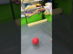 Customized Children Inflatable PVC Soccer Ball Toy Football Shape Bouncing Gift